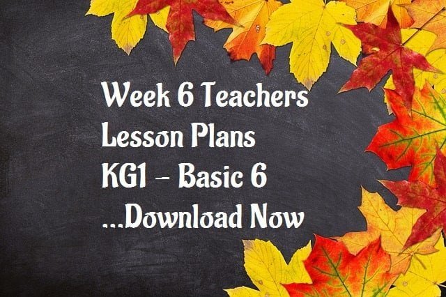 Week 6 Teachers Lesson Plans -KG1 - Basic 6 : Download Now