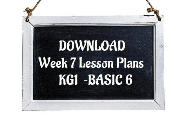Term 1 Week 7 Lesson Plans