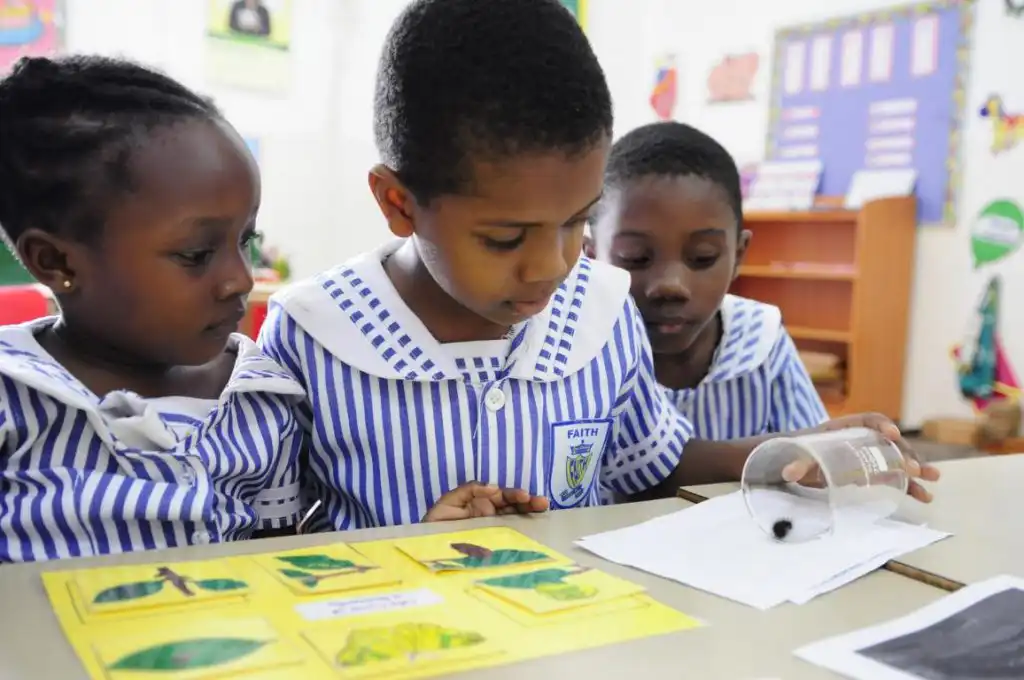 Early Childhood Education