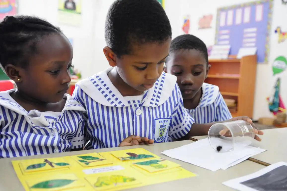 Early Childhood Education