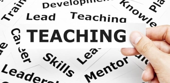 Teachers Developmental Skills