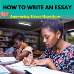 Answering Essay Questions