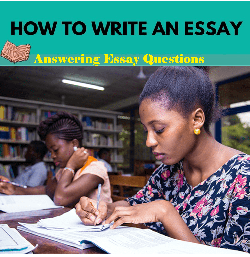 write an essay answering a question