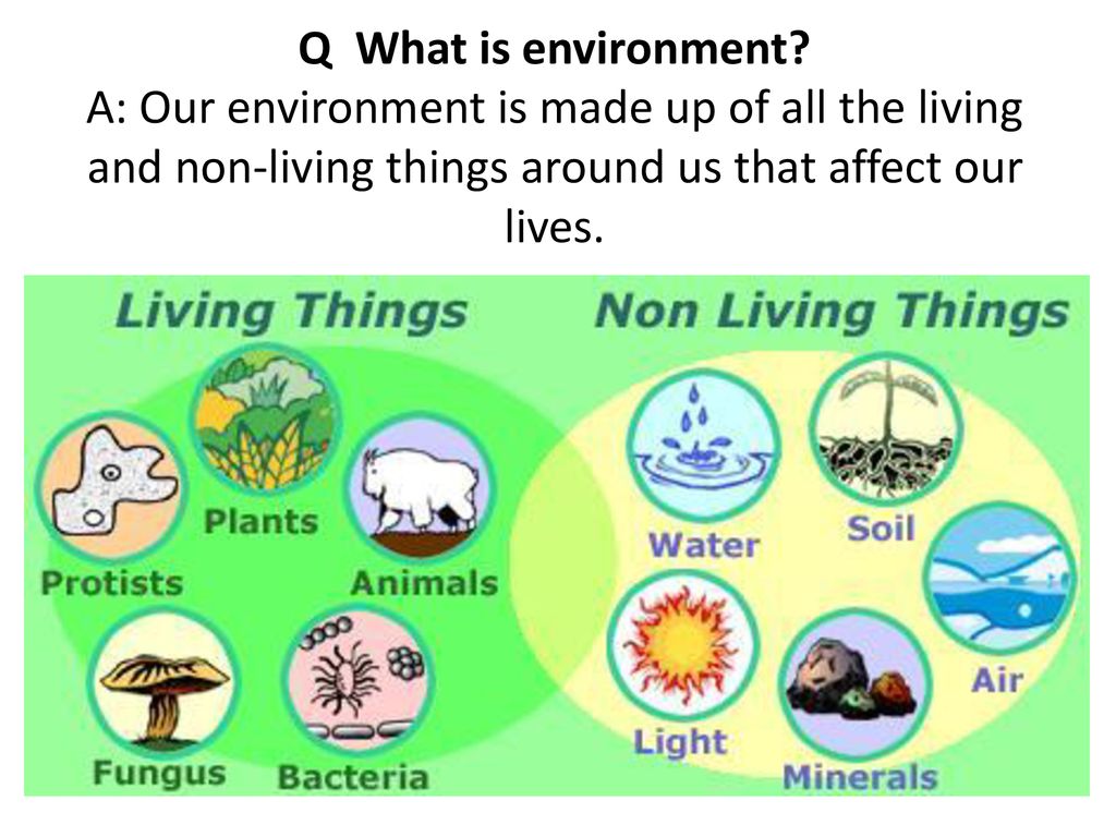 SHS Integrated Science - Diversity of living and non-living things 1