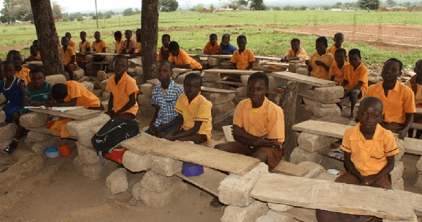 Remove schools under trees