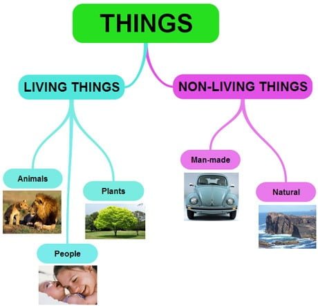 SHS Integrated Science - Diversity of living and non-living things 1