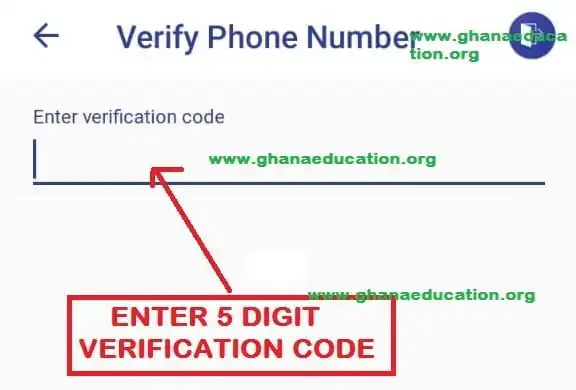 Verify MTN Momo on ECG Power App