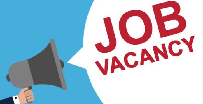 apply for the Job Vacancy For an Accountant or leave the page, kindly read the pieces of advice below for jobseekers.  English Tutor Needed Urgently: A reputable private tertiary institution seeks the service of an English Tutor (Lecturer) in Accra for immediate employment. 