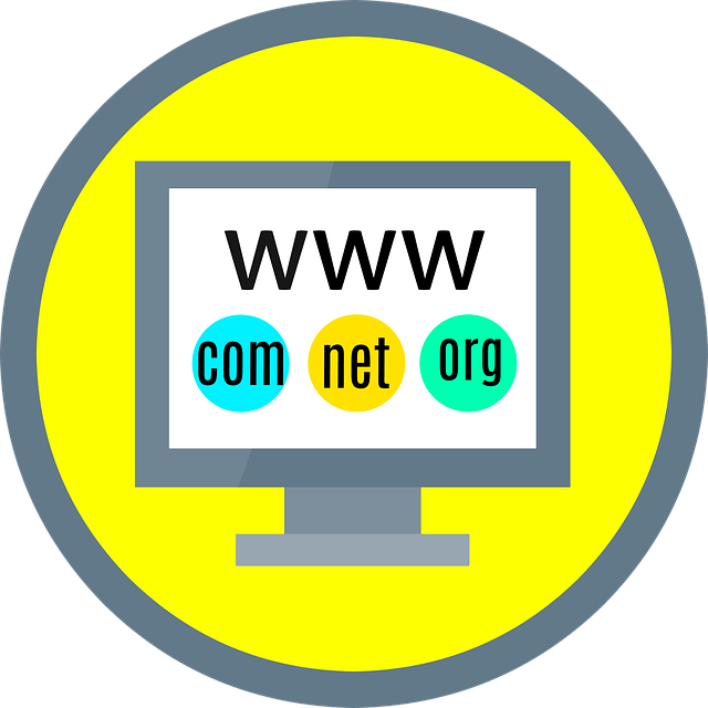 Buy Domain & Hosting Build a $30 Websites in 30 Minutes