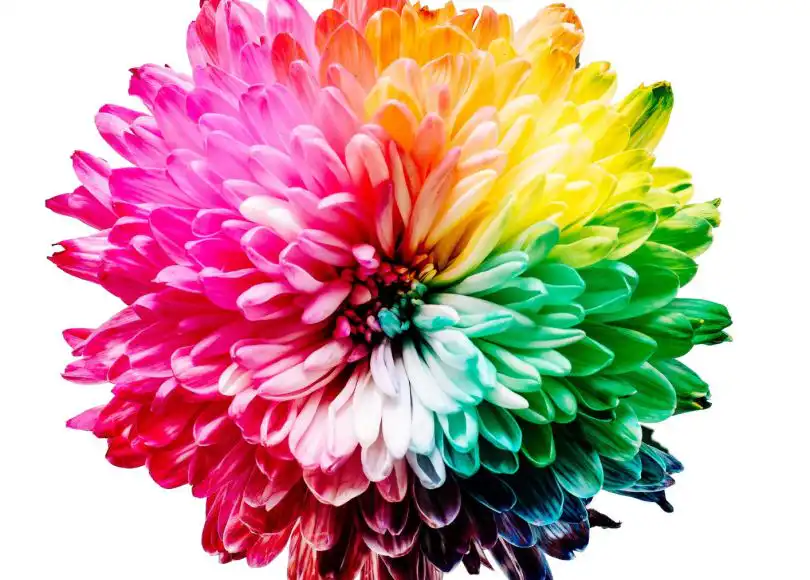 Colour symbolism in Schizophrenia