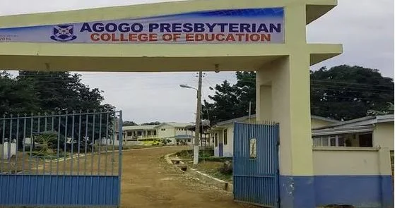 Teacher Trainees Strike: TTAG warns over ‘cook’ fee payment amid staff strike