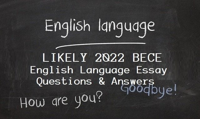 english language essay examples 2022