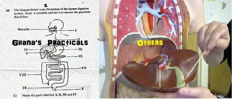 2021 NSMQ Finalists Dubai Fiasco is a Blessing to Ghana