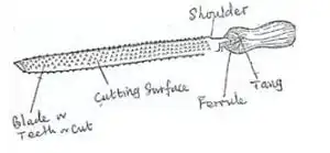 BDT QUESTIONS AND ANSWERS