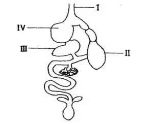 SCIENCE PRACTICALS FOR BECE AND WASSCE