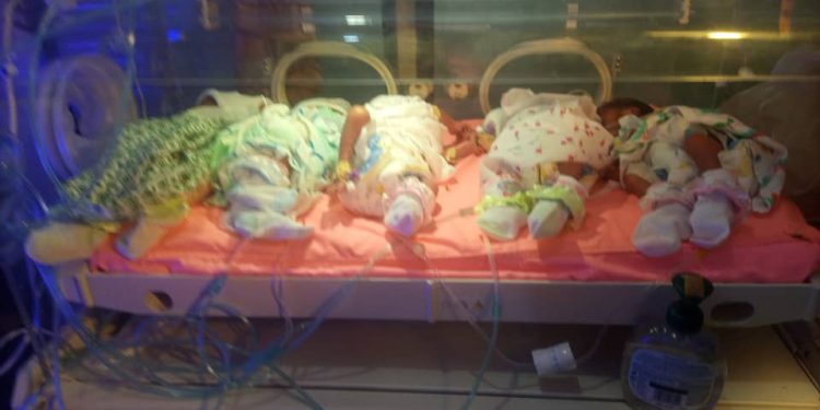 Mother of 5 gives birth to quintuplets at Agormanya