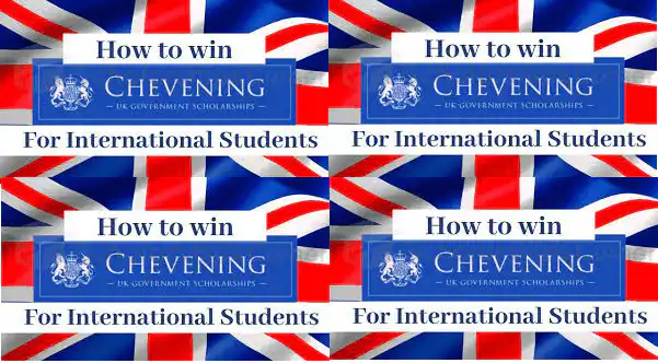 How I won the Chevening scholarship by By Loshana Shagar