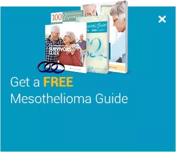 A Comprehensive Guide to Mesothelioma and Its Legal Consequences