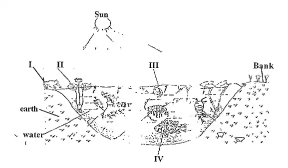 2022 BECE Super Final Integrated Science Revision (Practicals & More)