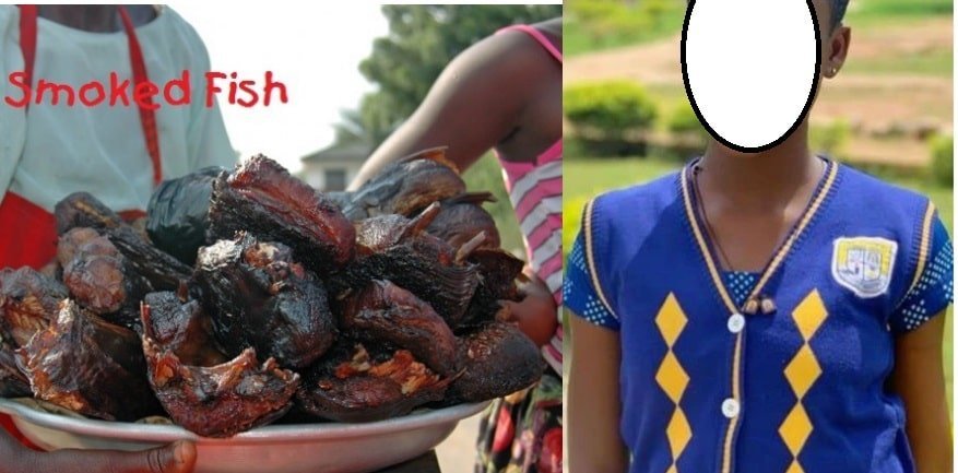 How FreeSHS Helped Smoked Fish Hawker Qualify For University