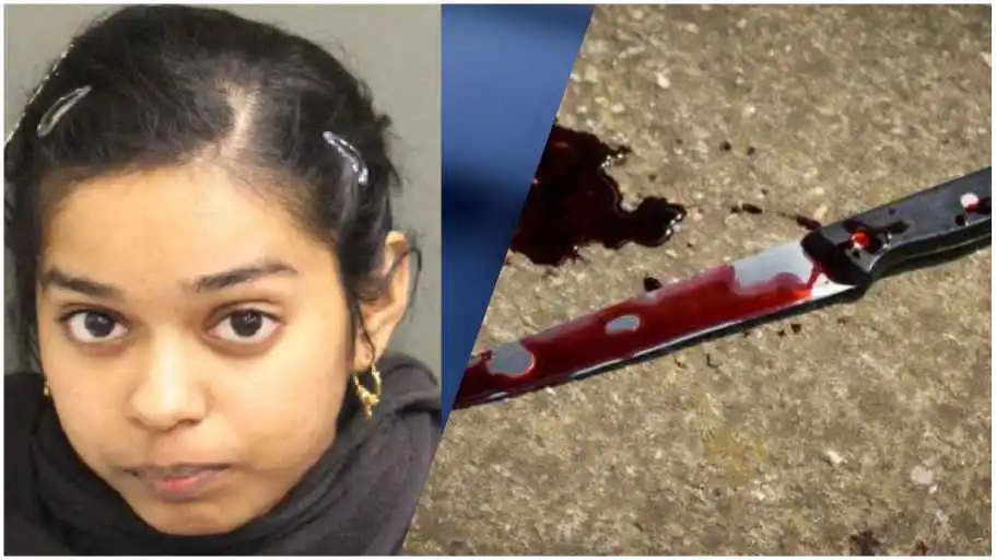 Woman Stabs Her Sister To Death