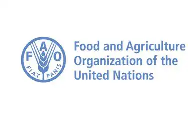 Check the requirements for this job and apply for the vacancy published here.