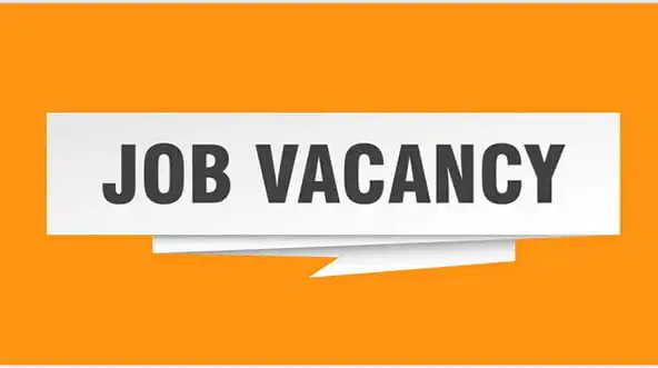 Check the requirements for this job and apply for the vacancy published here.