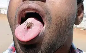 Man Addicted To Eating Insects
