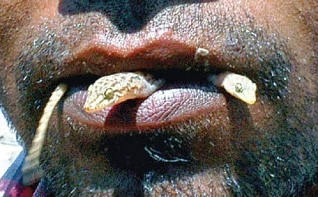 Man Addicted To Eating Insects