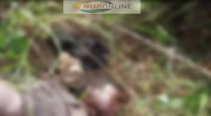 58-year-old deaf and dumb murdered