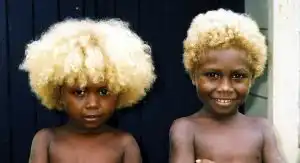 Melanesians