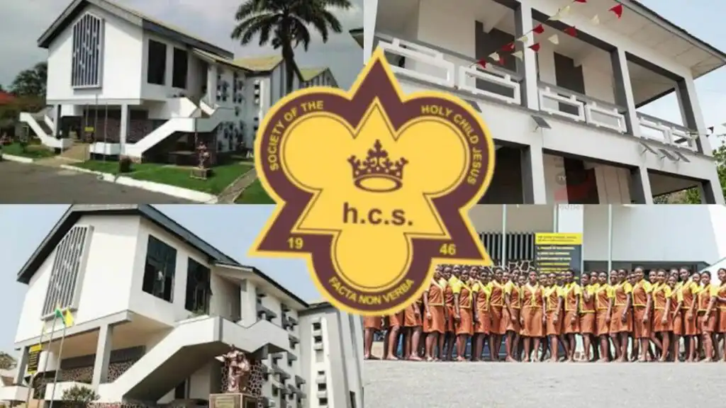 Holy Child High School