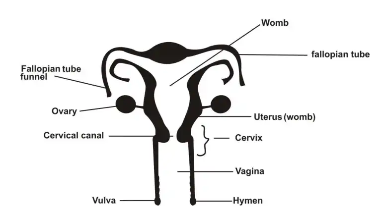 2022 BECE Integrated Science Questions