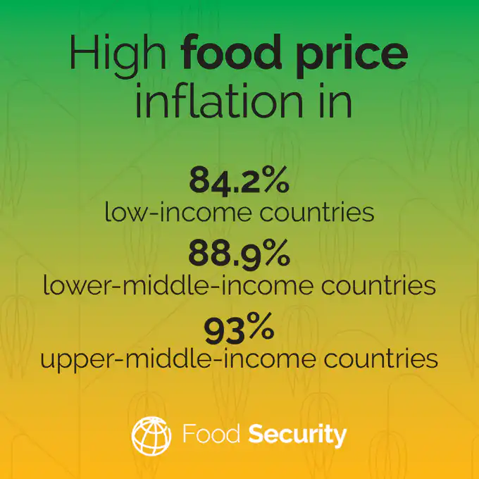 FAO says all countries now experience high food price inflation