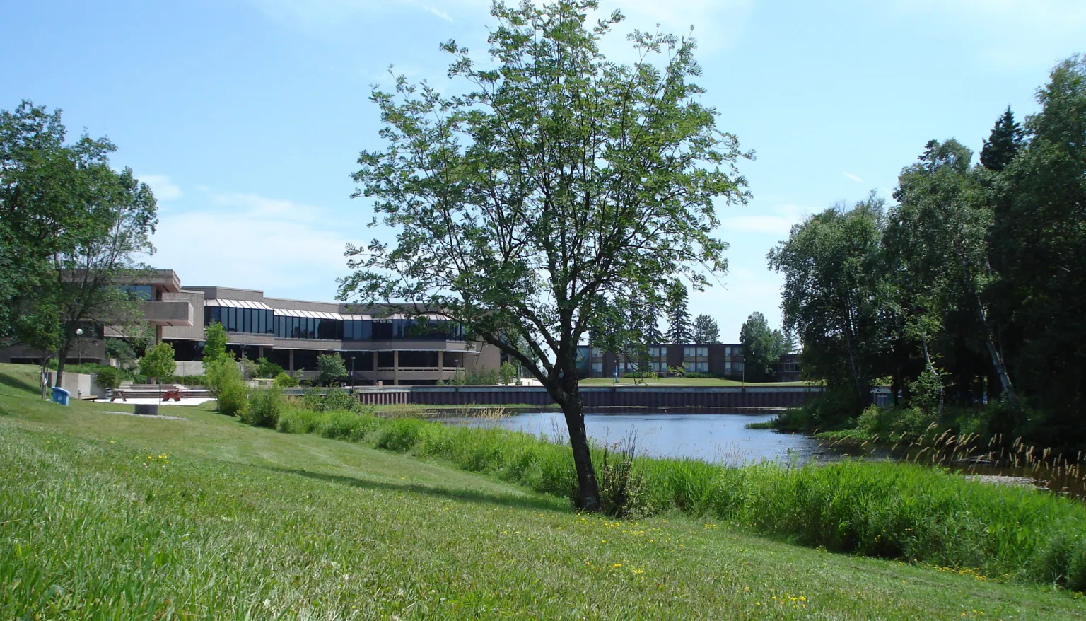 Chinese fully funded Postgraduate scholarship