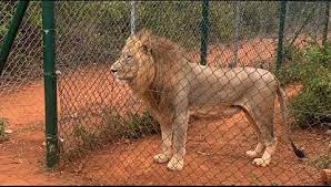 Accra Zoo Reopened
