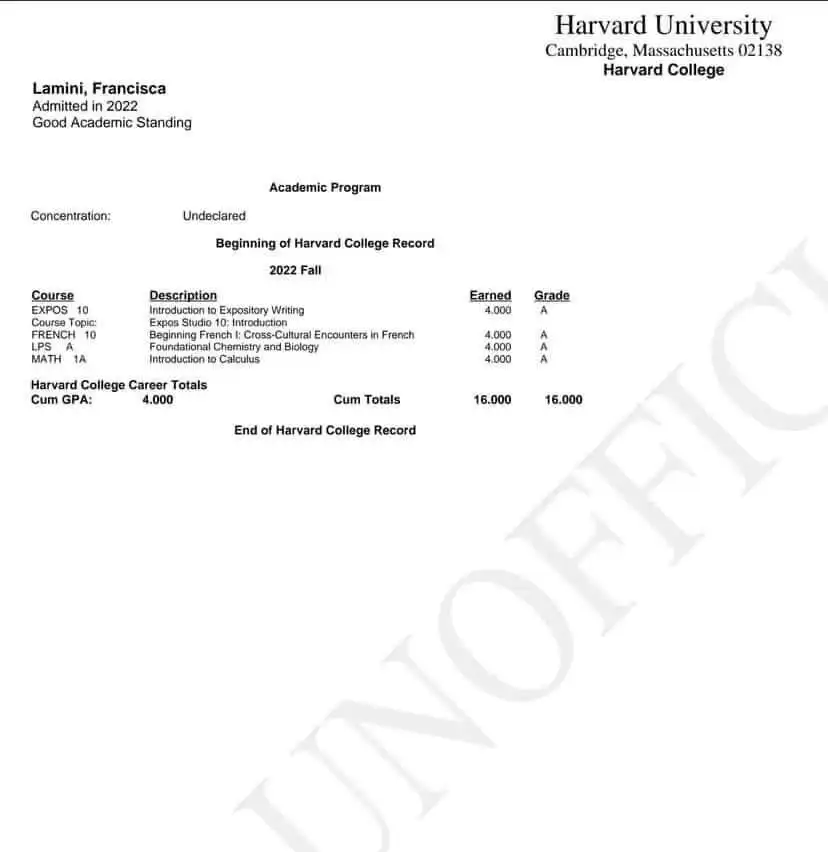Francisca Lamini BLOWS Harvard first Semester Examination