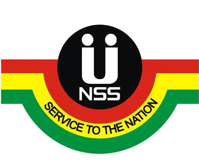 Possible Challenges To Face When Activating Your NSS Pins And How To Overcome Them.