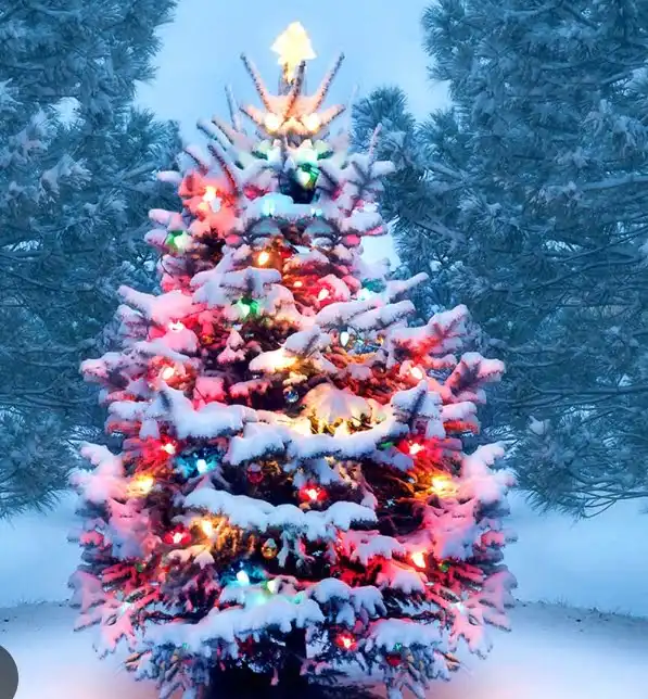 difference between Christmas and Xmas