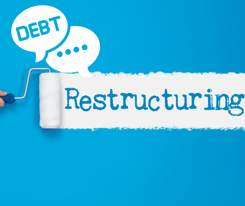 7 Flaws in Ghana’s Debt Restructuring and how to fix them - Bright Simons writes to share ways Ghana can go around the current challenge
