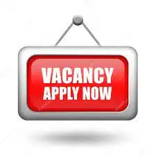 Check the requirements for this job and apply for the vacancy published here.