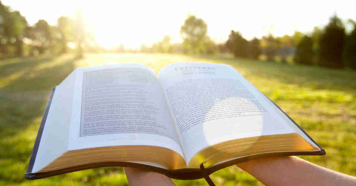 Bible Verse To Read Each Morning To Have A Successful Day