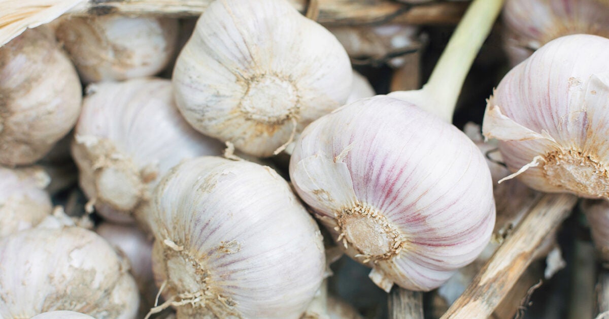 Health Benefits Of Garlic You Probably Didn’t Know