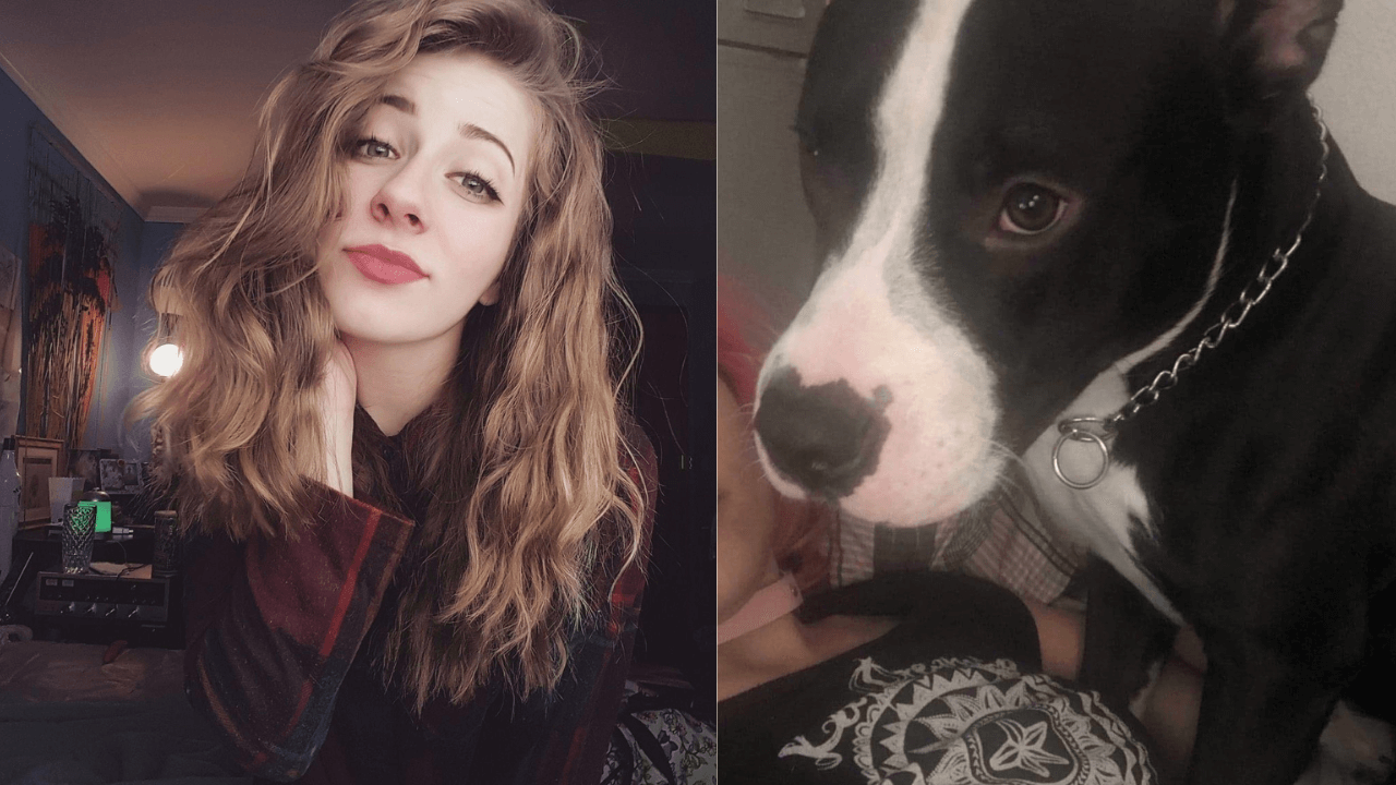 This Is Evil: Shocking As Beautiful Lady Confesses To Sleeping With 6 Dogs