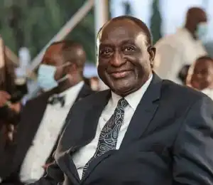 Who Is Alan Kwadwo Kyerematen? Check Out His Profile