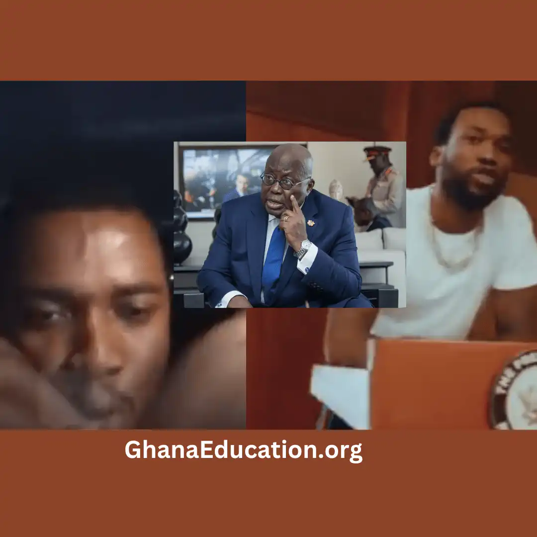 Twene Jonas blasts Nana Addo over Meek Mill's music video at Flag Staff House (VIDEO)