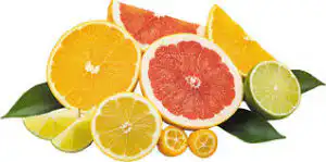 Citrus fruit Reduce Your Blood Sugar Level 