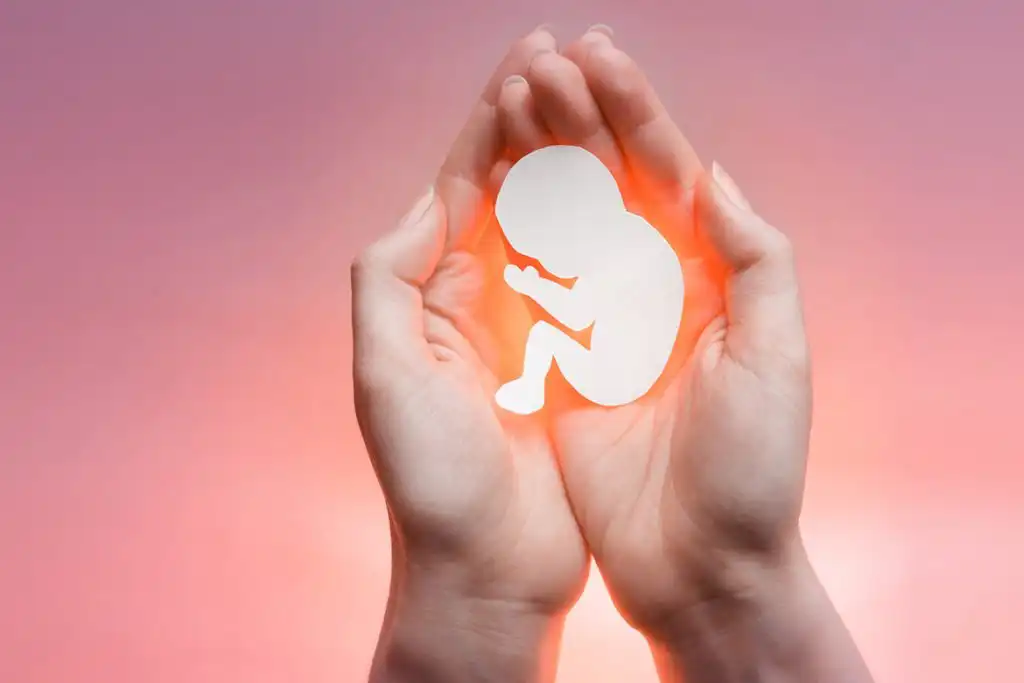 Foods that can cause miscarriage in women