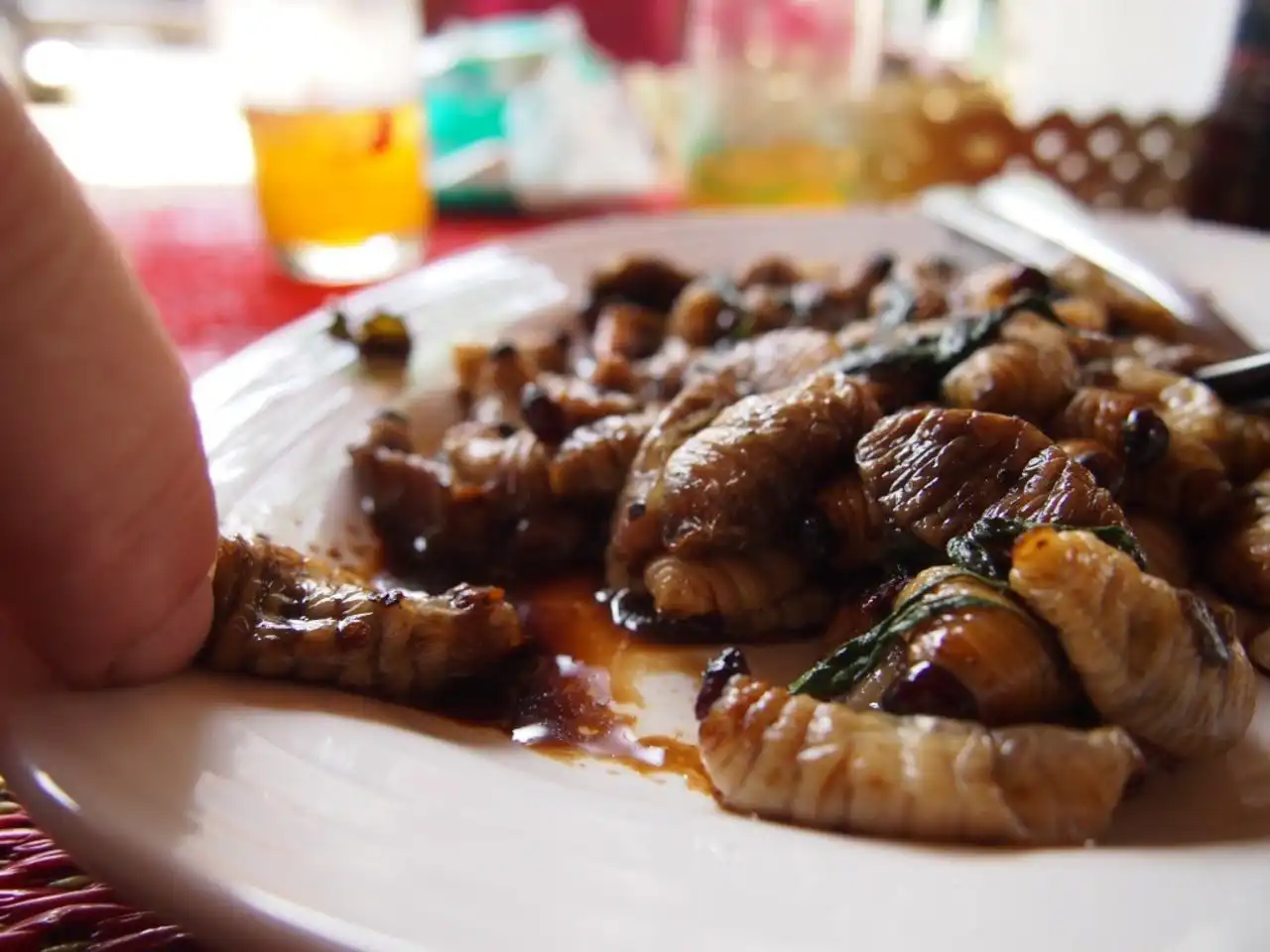 In Ghana, the consumption of palm weevil larvae is most common in rural communities and among ethnic groups who have a tradition of eating insects as a food source. The larvae are often harvested from fallen or cut palm trees and are consumed as a snack or as a topping for other dishes.

Some of the regions in Ghana where palm weevil larvae are consumed include the Ashanti Region, the Eastern Region, and the Northern Region. The larvae are also consumed in other countries in West Africa, including Nigeria and Togo.

It's important to note that while palm weevil larvae are considered a delicacy in some communities in Ghana, they are not widely consumed and are not a common food in most urban areas. 
