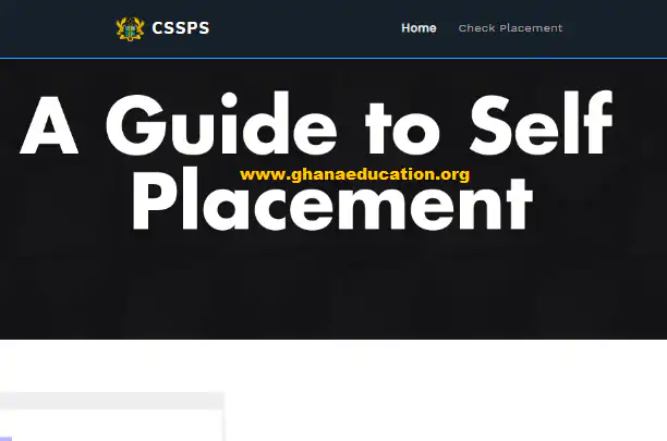 2023 Self Placement Challenges and Recommend Solutions